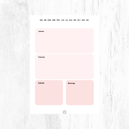 A5 perpetual diary with disc system