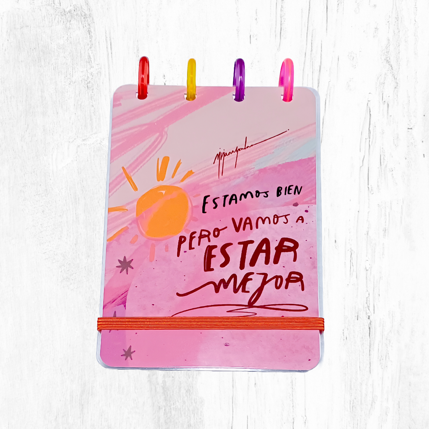 Libreta A6 sistema de discos - Viviana Grondona