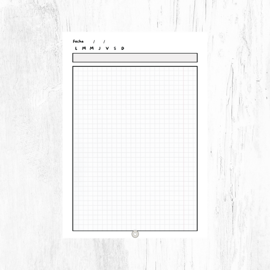 Refill notepaper for discbound notebook