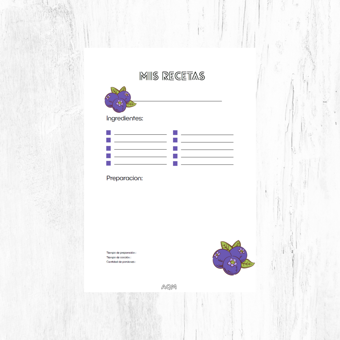 A6 Recipe Book Disc System