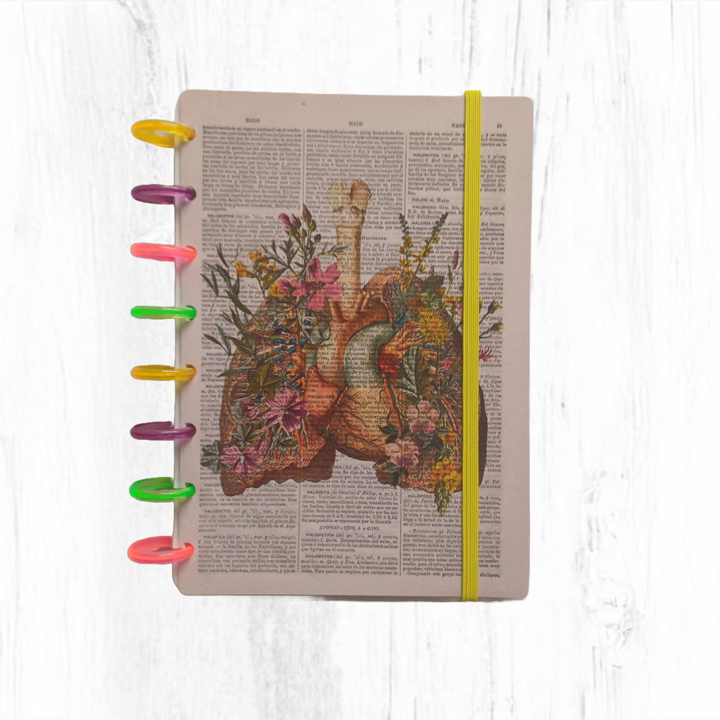 Cuaderno A5 sistema de discos